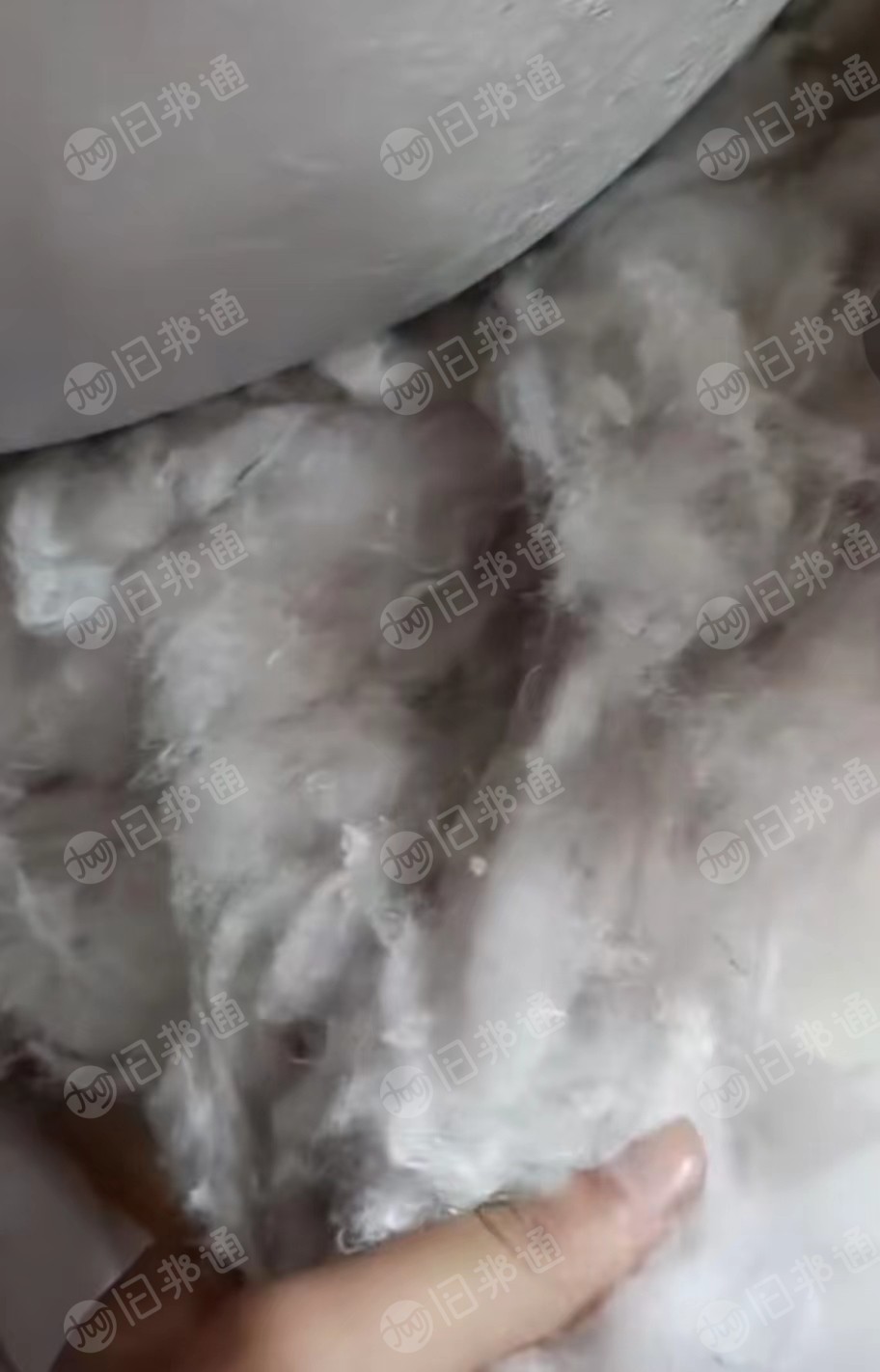绗棉开花棉,绗棉再生棉,大量出售