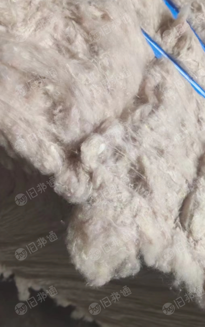 涤棉白色开花棉,纯棉开花棉长期出售