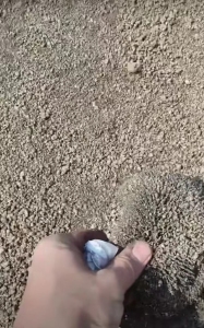 出售沙土选铁精粉毛料