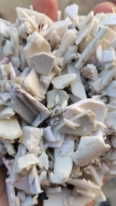 长期出售白丙破碎料，马桶盖和饮水机壳混粉