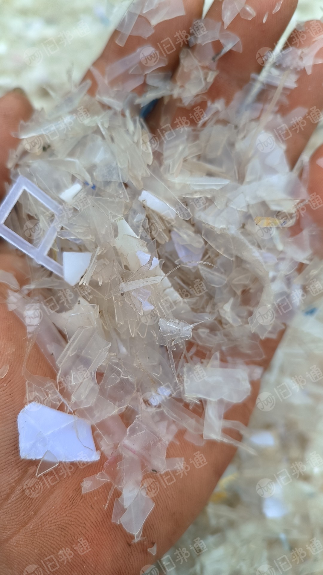 PP饭盒破碎料,月供几十吨