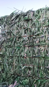 PET打包带长期出售，现货10几吨，月供50吨