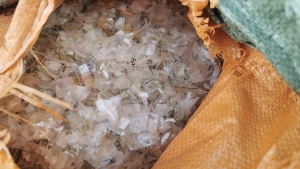 PVC输液袋破碎料出售，长期有货