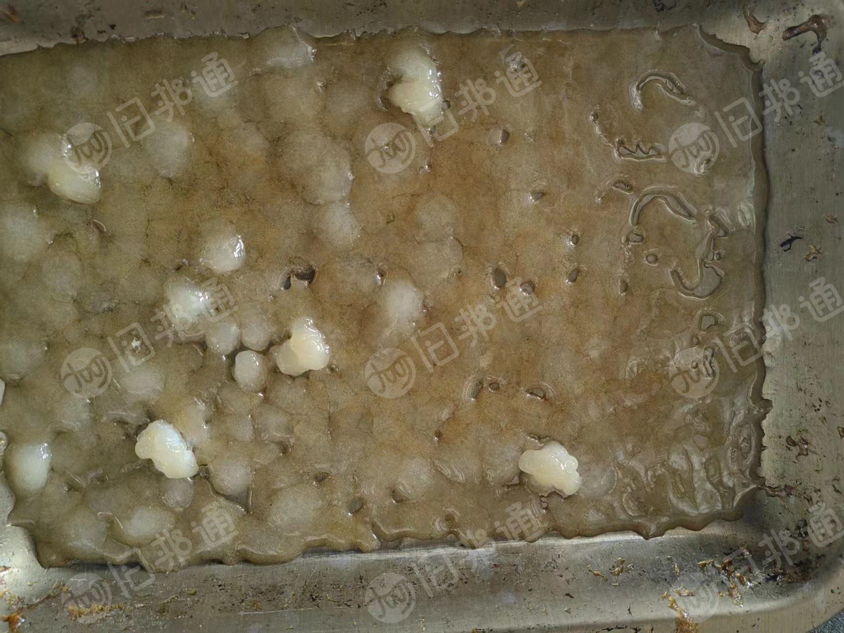 PET泡泡料,轻胶卷筒膜洗出来的,仿大化百分百没问题,月供300吨