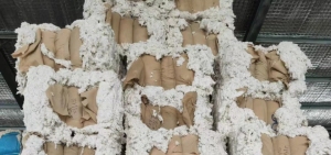 纯棉车肚落地长期大量供应