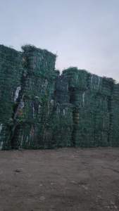 pet聚酯打包带，现货100吨，长期出售