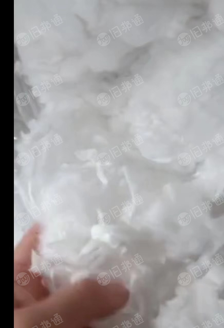 长期大量回收优质枕芯棉,芯体棉,
