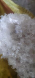 清洗好可直接商机的PP饭盒破碎料出售，月供几十吨