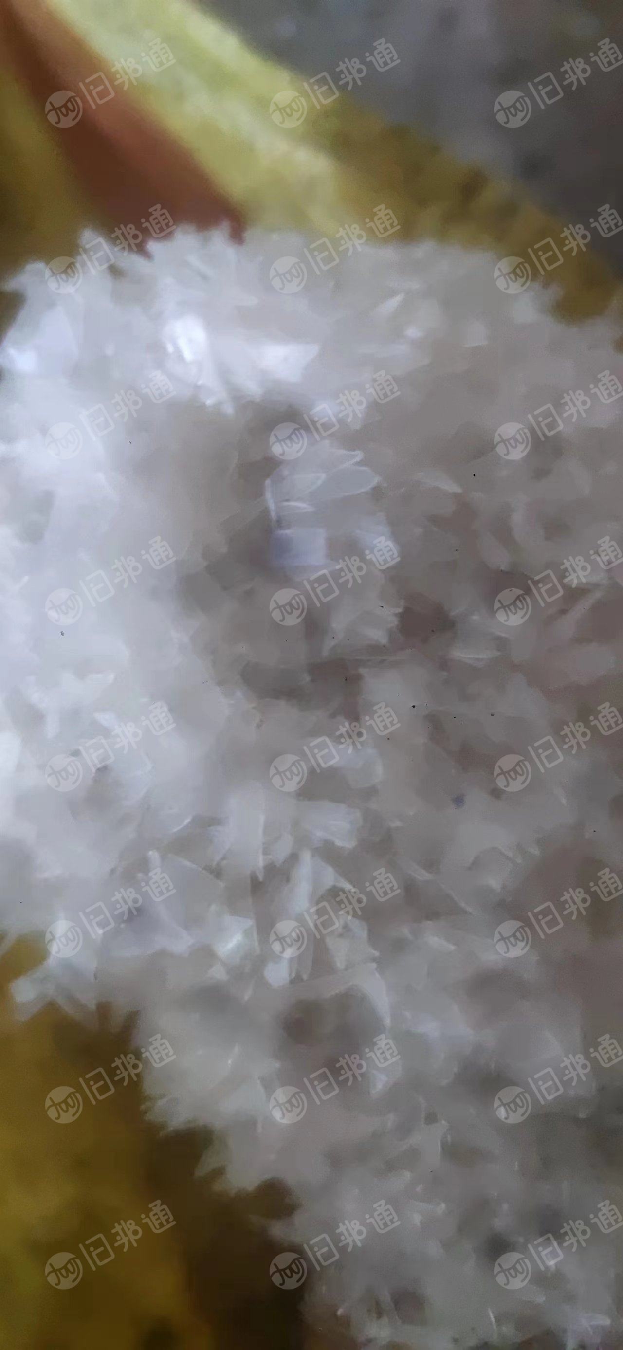 清洗好可直接商机的PP饭盒破碎料出售,月供几十吨