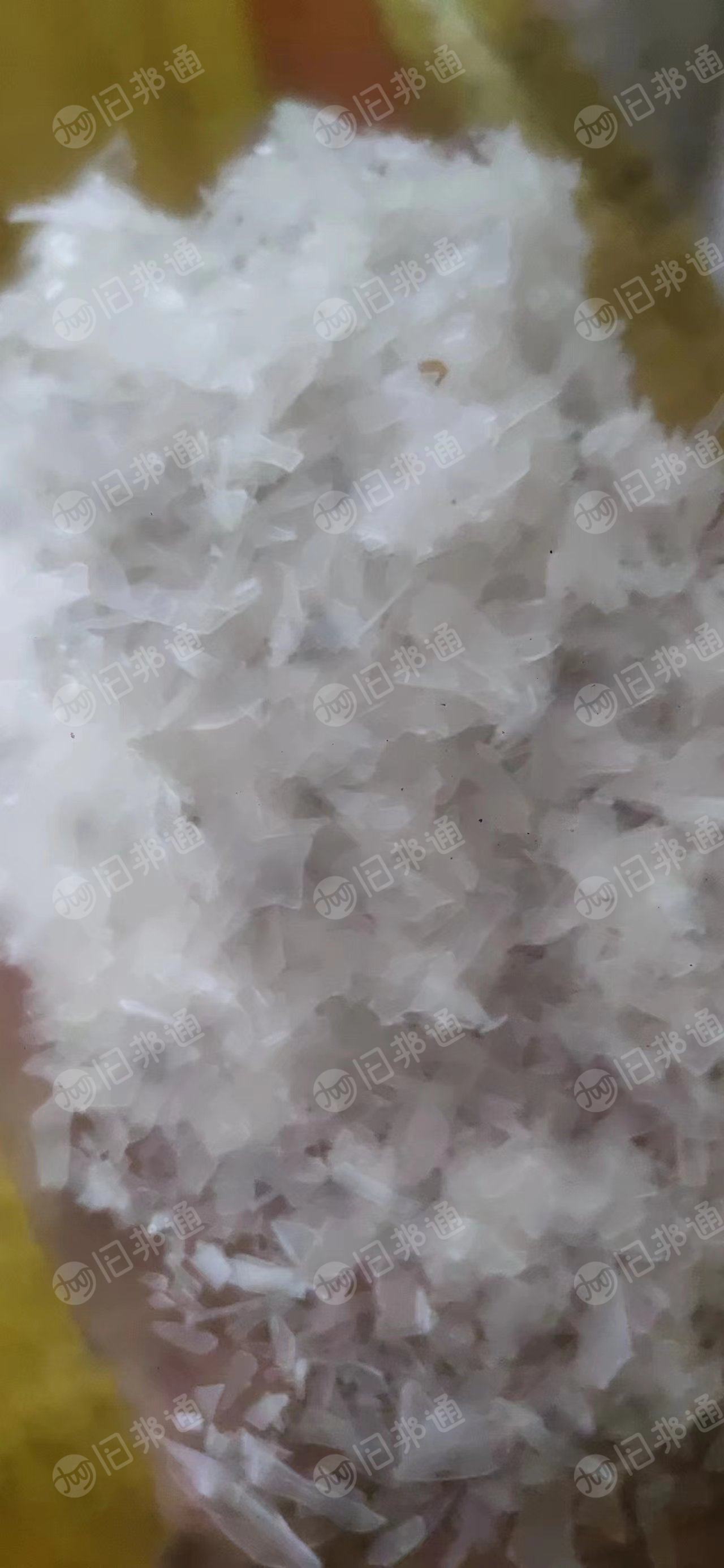 清洗好可直接商机的PP饭盒破碎料出售,月供几十吨