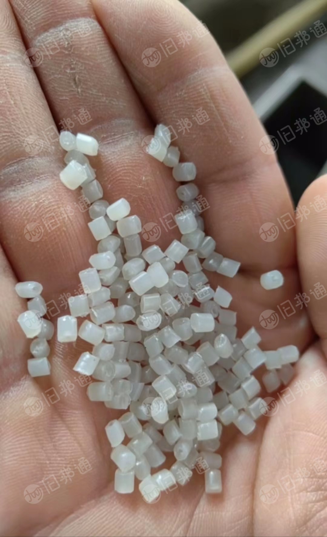 透明丙颗粒,饭盒颗粒,荔枝筐颗粒,专业生产销售