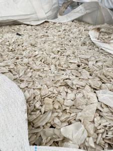 本公司长期出售PP洗衣机破碎料，干粉，灰白，透明，花色都有，月供500吨