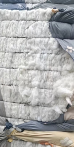 丝绵开松棉广东长期大量供应