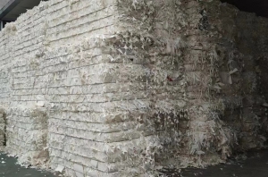 长期出售小花口杯纸边料