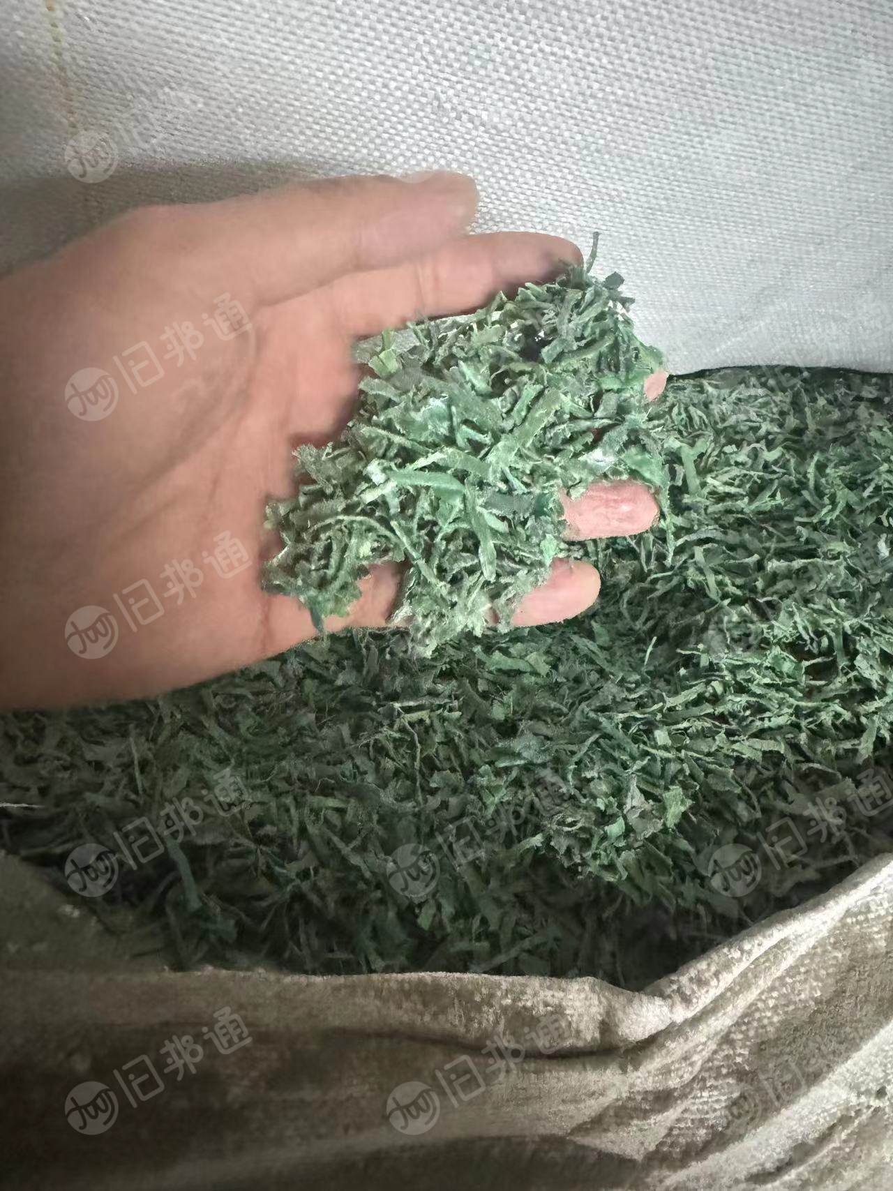 PET聚酯打包带破碎料长期出售，干粉，月供100吨 