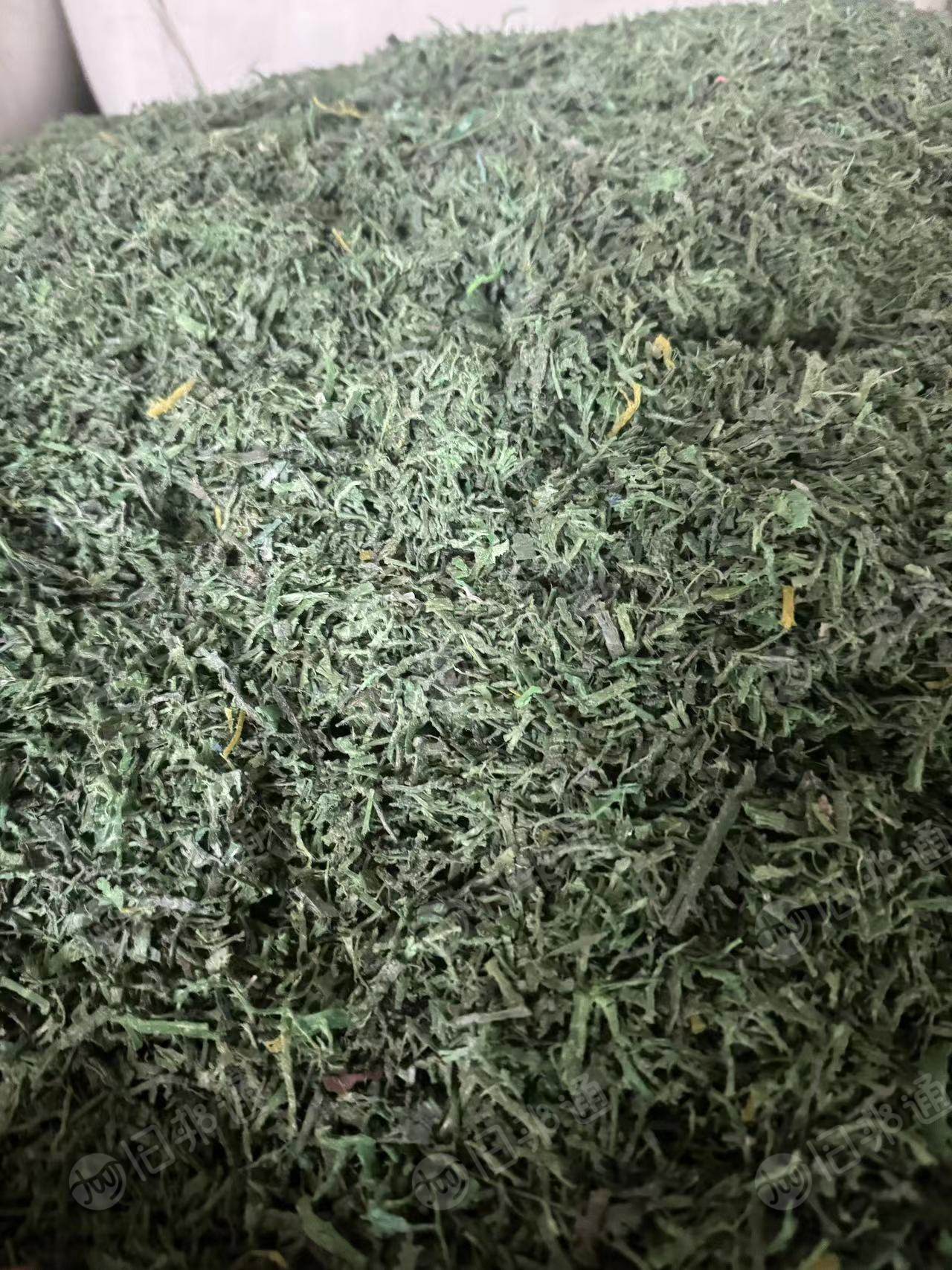 PET聚酯打包带破碎料长期出售,干粉,月供100吨