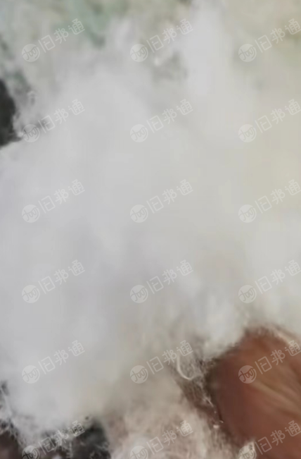 长期供应漂白开花料,可纺10到19支!