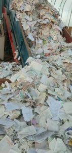 常年大量收购废书本，书页纸