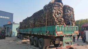 生活垃圾膜，混杂塑料膜，专供电厂燃烧用