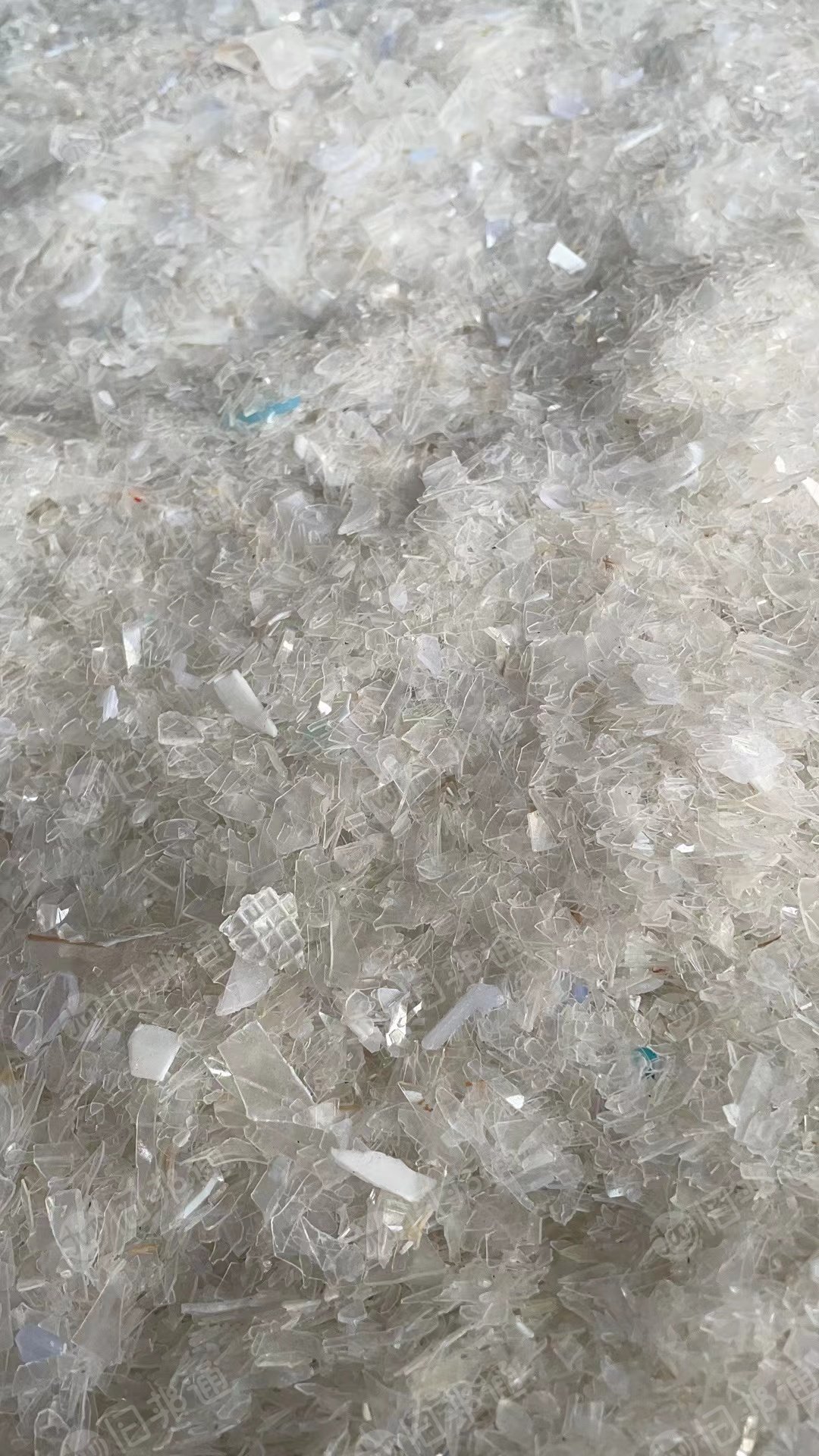 已清洗可直接上机的PP饭盒破碎料大量出售,月供500吨左右