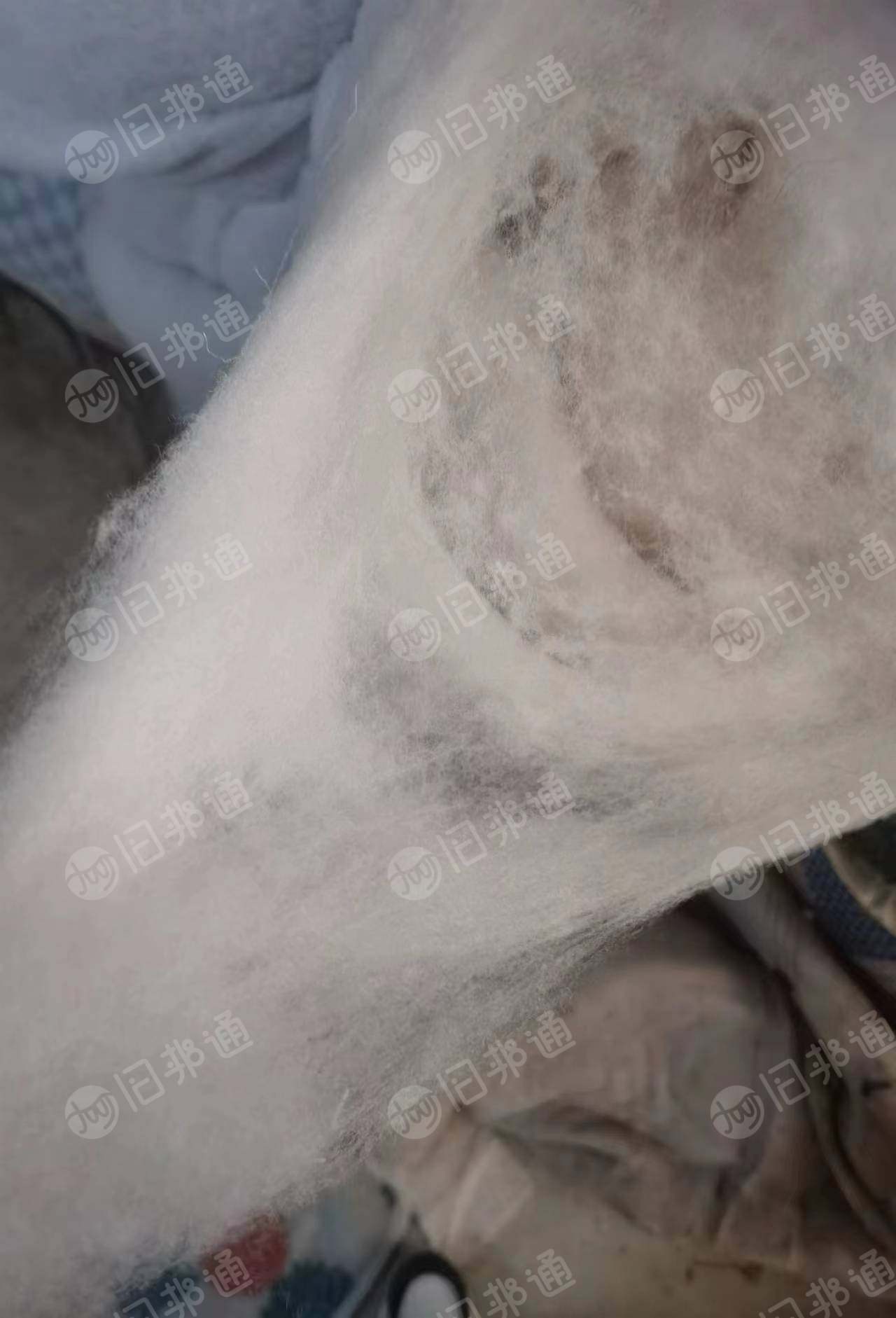 腈纶棉出售,干净无杂现货9.6米一车