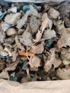 高压机头料，现货20吨，长期出售