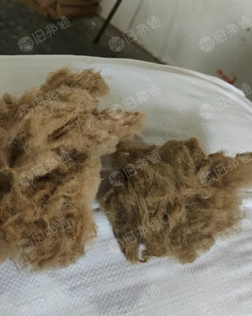 黑色绿色本白涤纶短纤长期供应