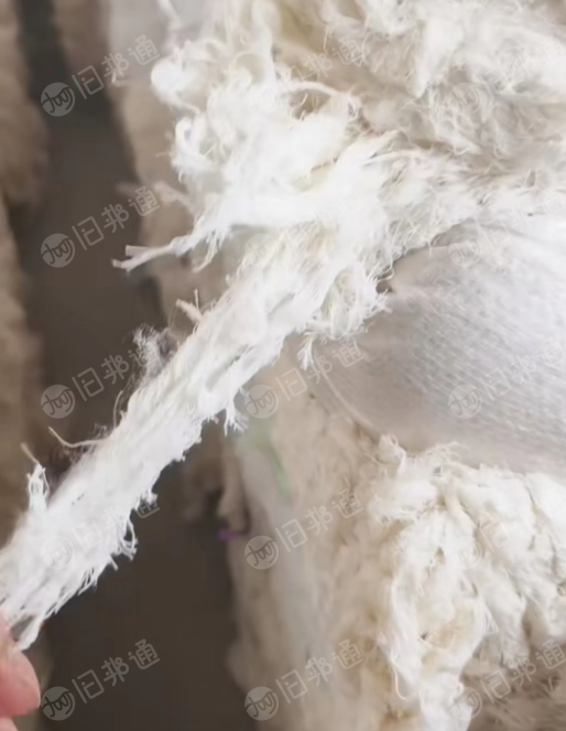 涤棉纯棉布边纱长期供应