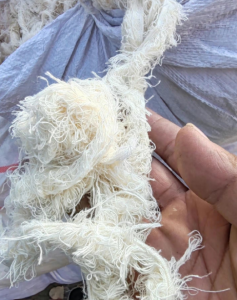 环锭纺棉边长期出售，现货十几吨！