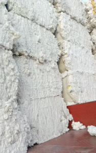 优质涤棉车肚长期大量供应