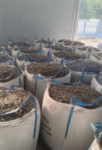 PP保险杠破碎料出售，现货一挂，月供100多吨