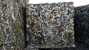 出售废钢铁边杂料压块