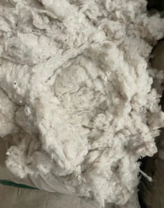 澳棉车肚100吨现货出售