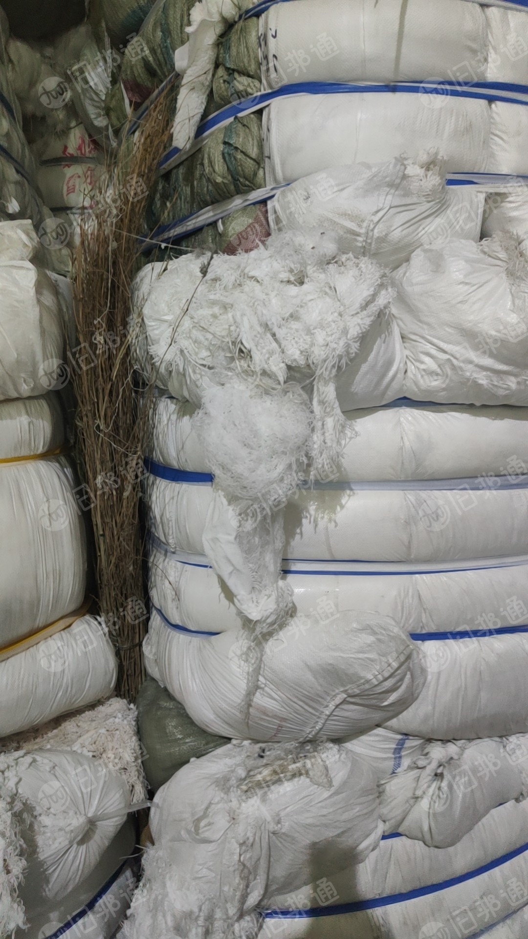 涤纶干丝水丝,涤纶白布,各种颜色涤纶布本厂大量收购