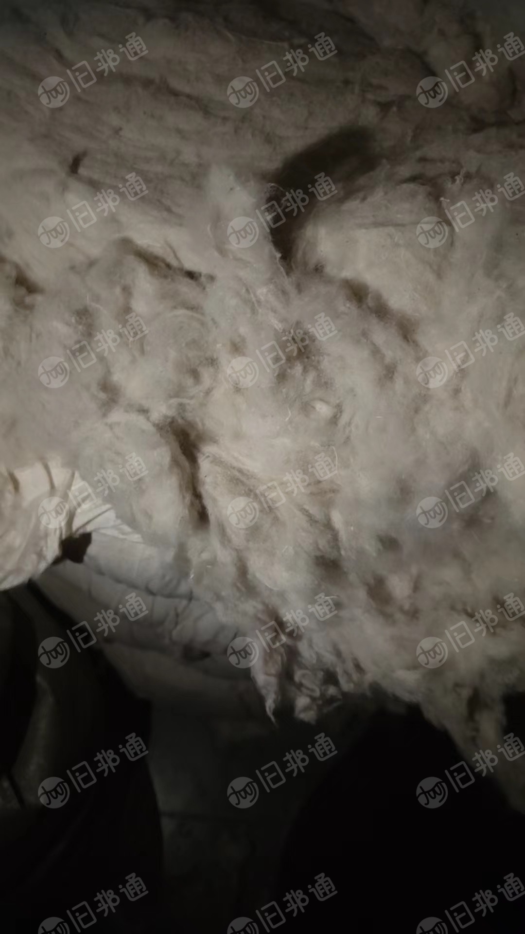 涤棉扫地花20多吨出售,纤维长度二十左右