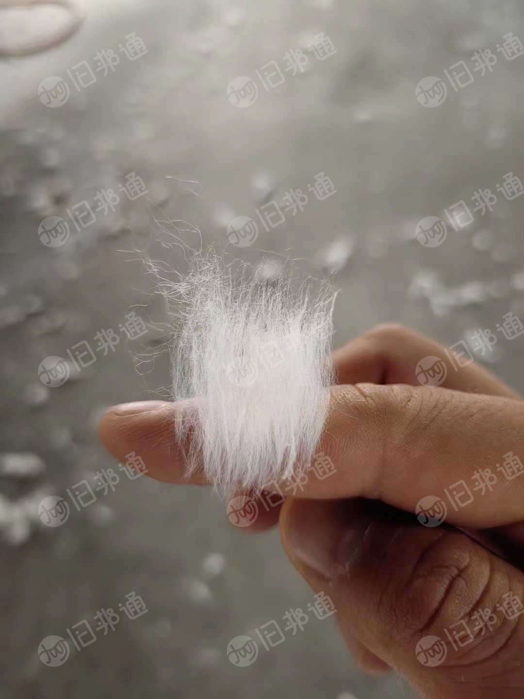 纺8支手套纱再生棉,牛仔开花棉,大量出售