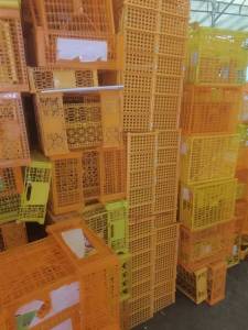 水果筐黄色破碎料，没洗的，现货供应