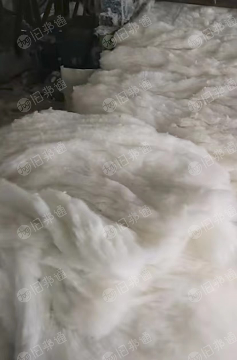 纯涤纶梳理料,梳理棉,大白棉,次白棉,用于家纺,土工布等,大量出售