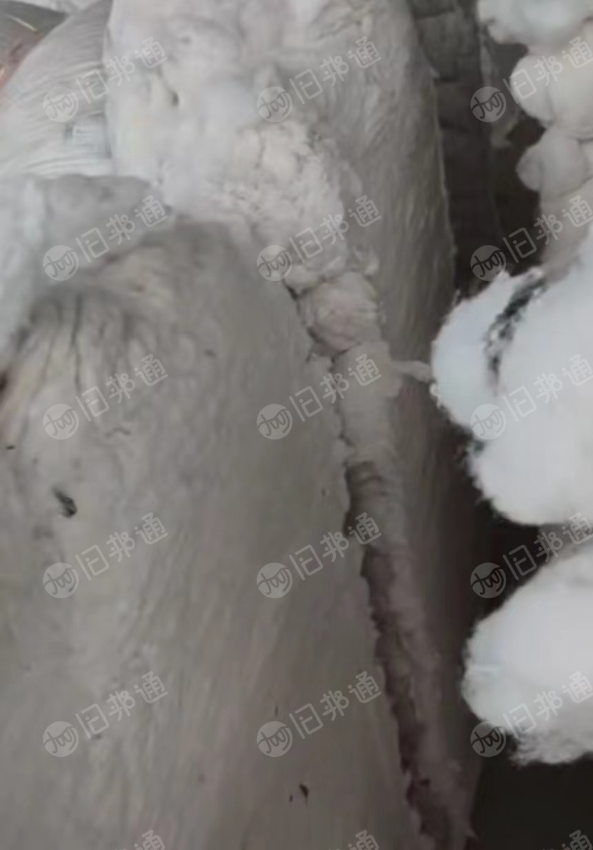 纯涤纶梳理料,梳理棉,大白棉,次白棉,用于家纺,土工布等,大量出售