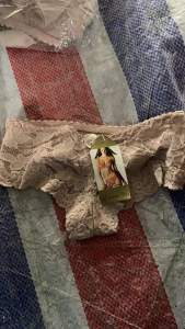 库存女士内裤4000条出售