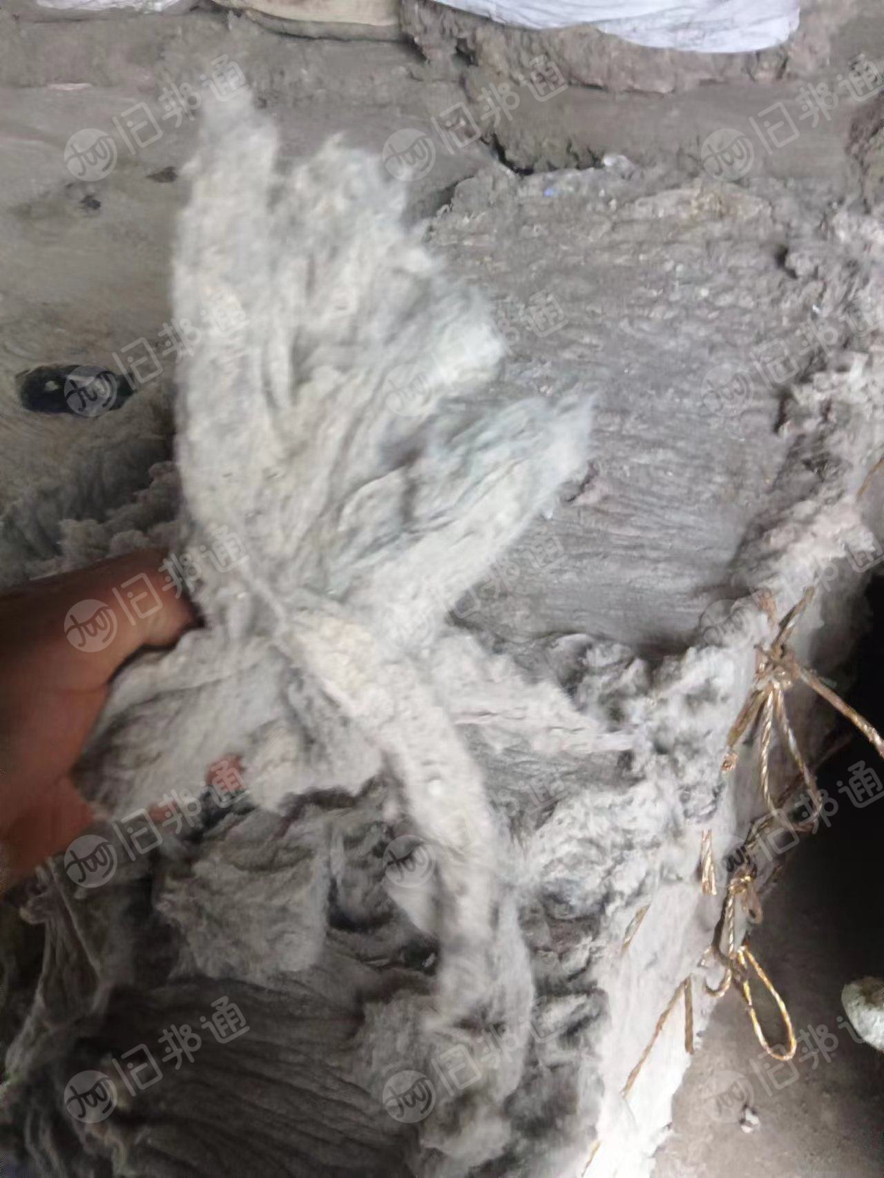 气流纺车肚,白烟灰,大量出售
