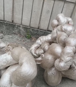 长期出售热熔块，月供10吨，有社会料有厂料