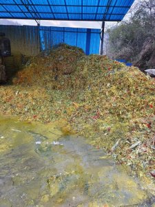 处理蛋托厂下来的纸厂废塑料，未清洗