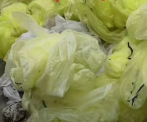 长期出售风电膜废料