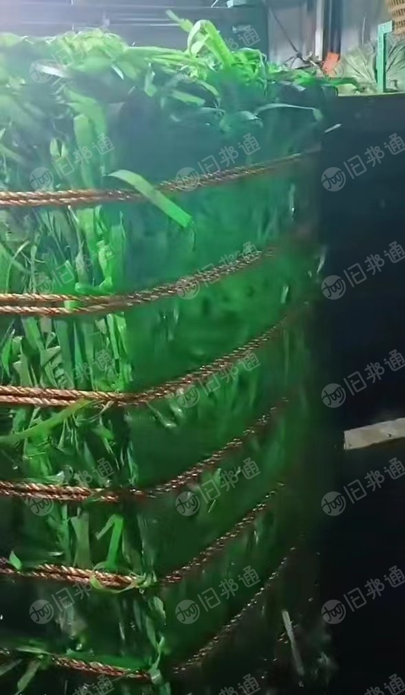PET打包带废料长期出售,现货10吨