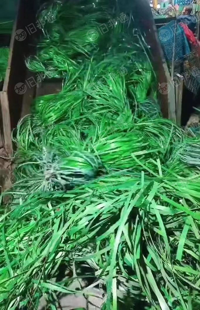 PET打包带废料长期出售,现货10吨