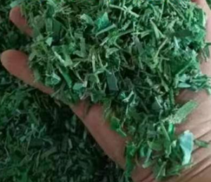 PP打包带粉碎料常年大量出售，月供几百吨