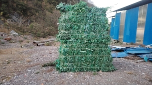 长期出售PET打包带毛料