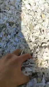 pvc水洗白板破碎料，量大，长期出售