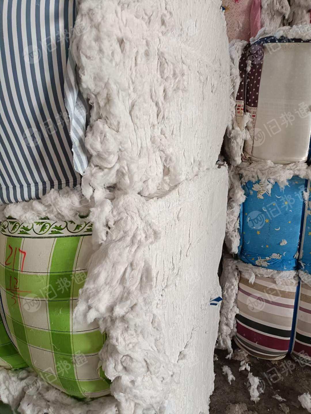 长期出售大白棉花每月100多吨